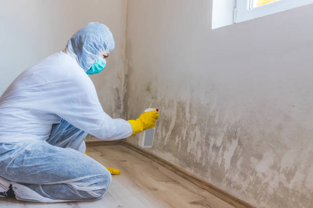 Licensed Commercial Mold Remediation service in Davidsonville, MD - WQB Mold Removal
