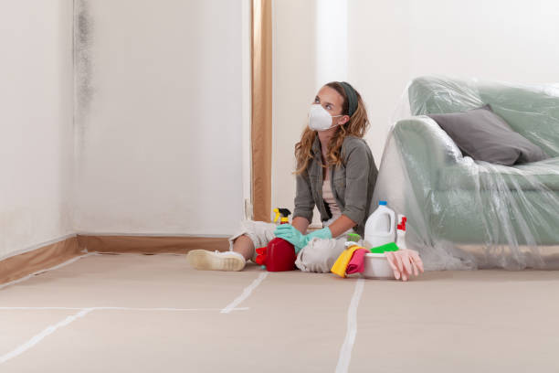 Reliable Commercial Mold Remediation contractor in Davidsonville, MD by WQB Mold Removal